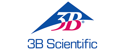 3B Scientific